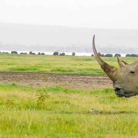 Lake Nakuru Lodge-3